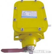 JHSL-A、JHSL-B縱向撕裂保護(hù)開關(guān)廠家直銷